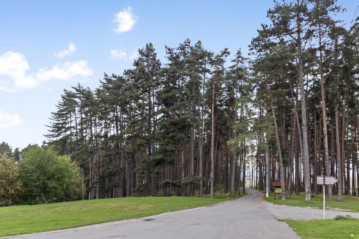 Casa Georgea Villa Săcele Dış mekan fotoğraf