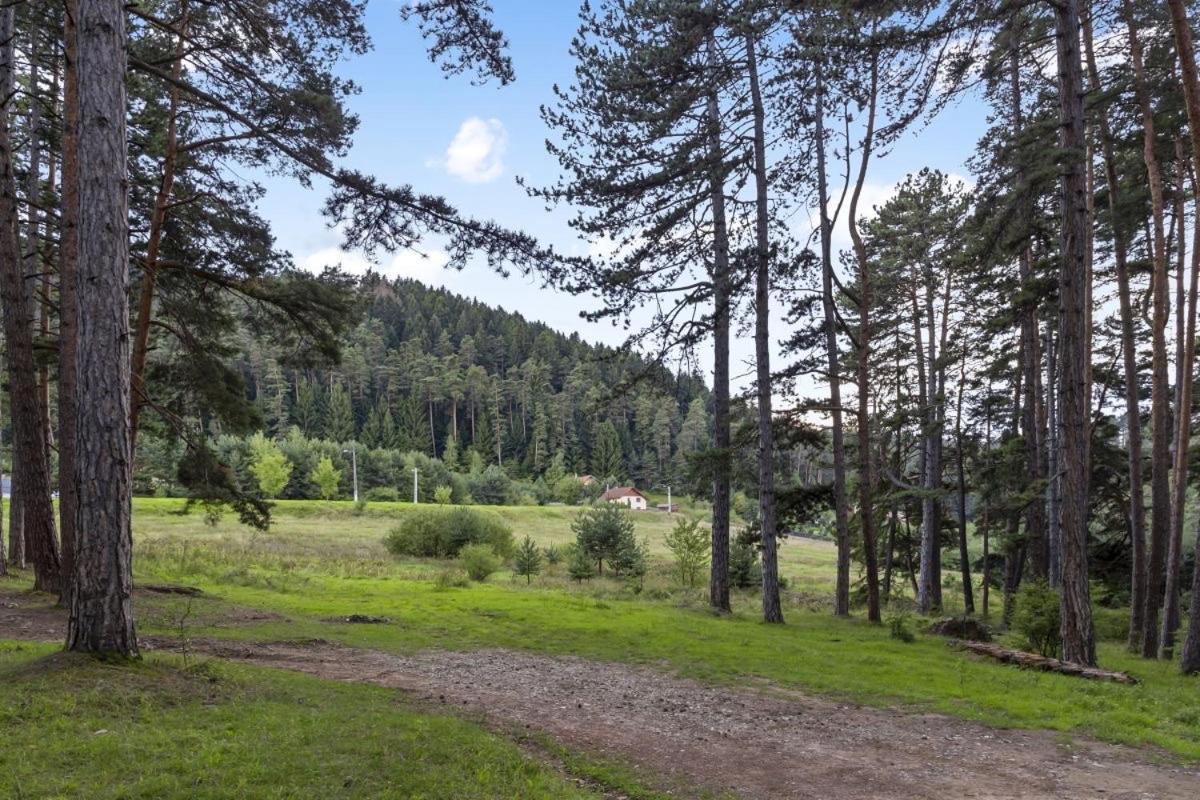 Casa Georgea Villa Săcele Dış mekan fotoğraf
